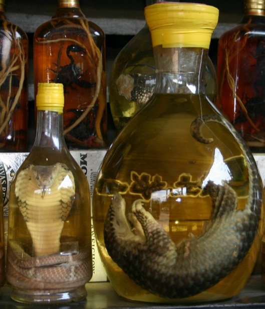 Панголин